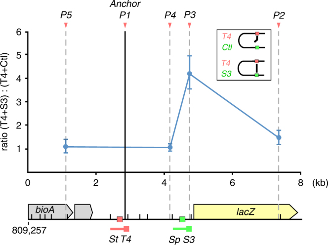 Fig. 3