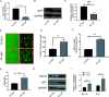 FIG 2