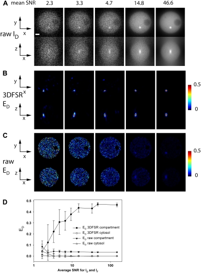 FIGURE 3