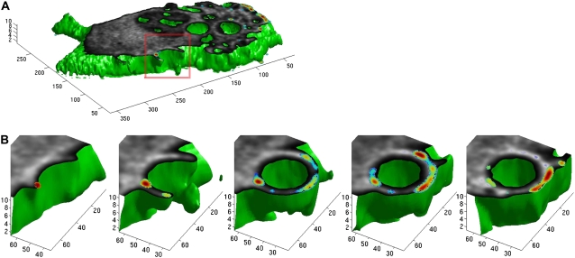 FIGURE 7