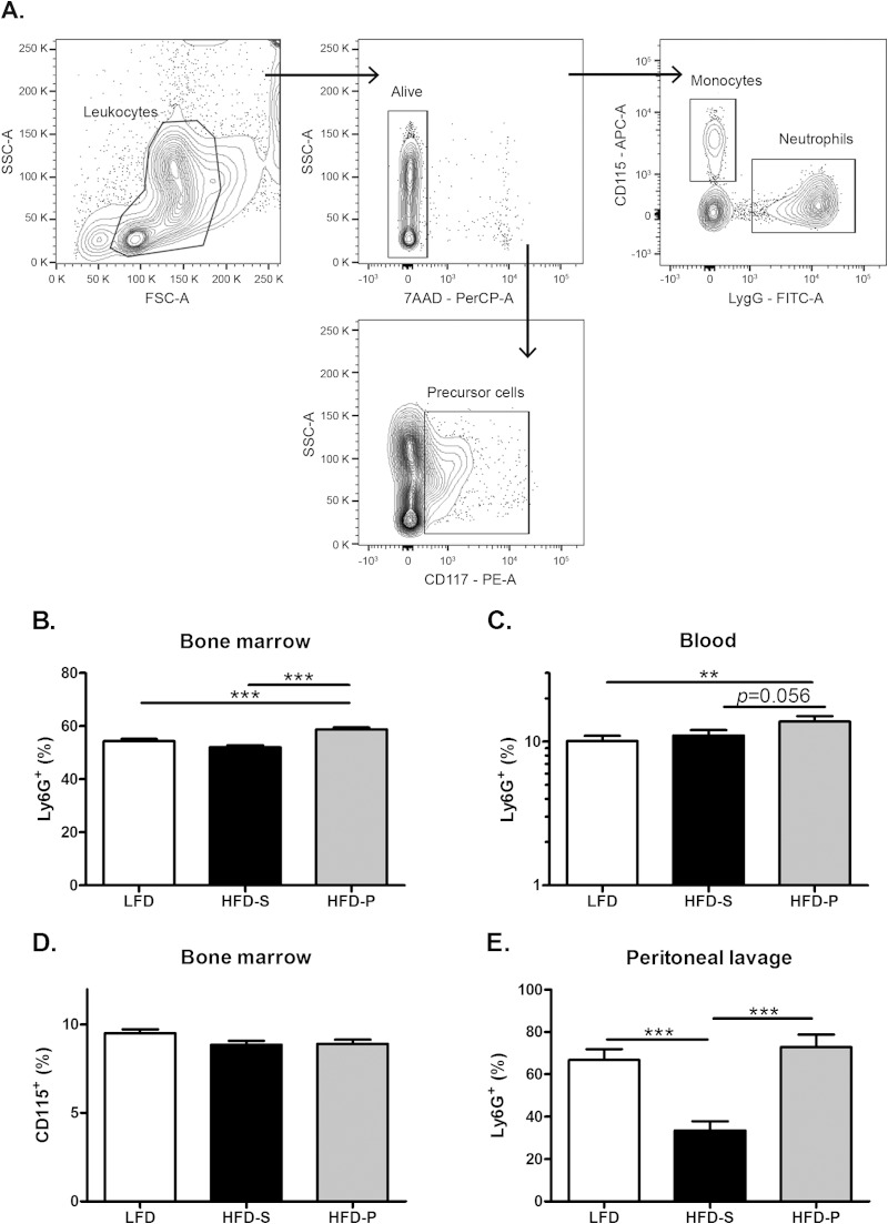 FIG 4