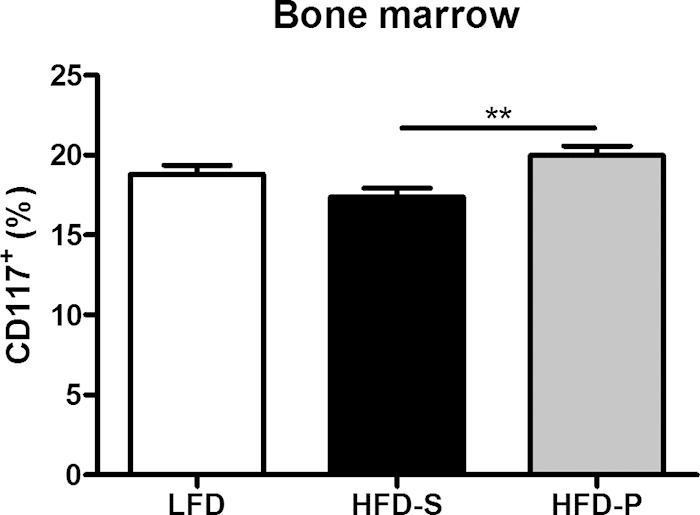 FIG 5