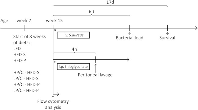 FIG 1