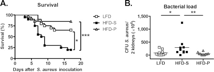 FIG 2