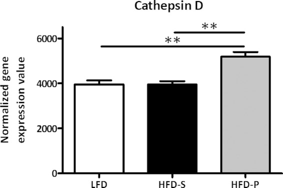 FIG 6