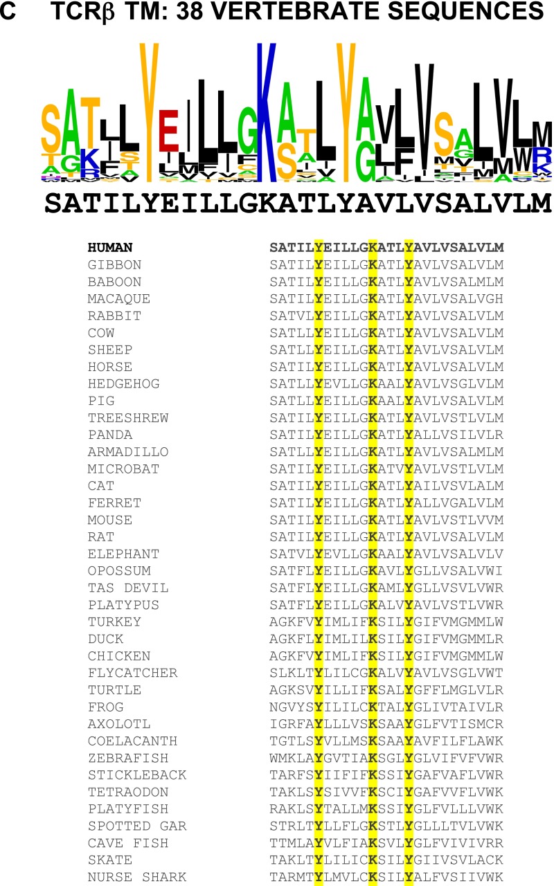 Fig. S4.