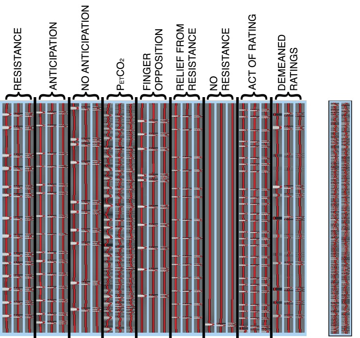 Figure 1—figure supplement 1.