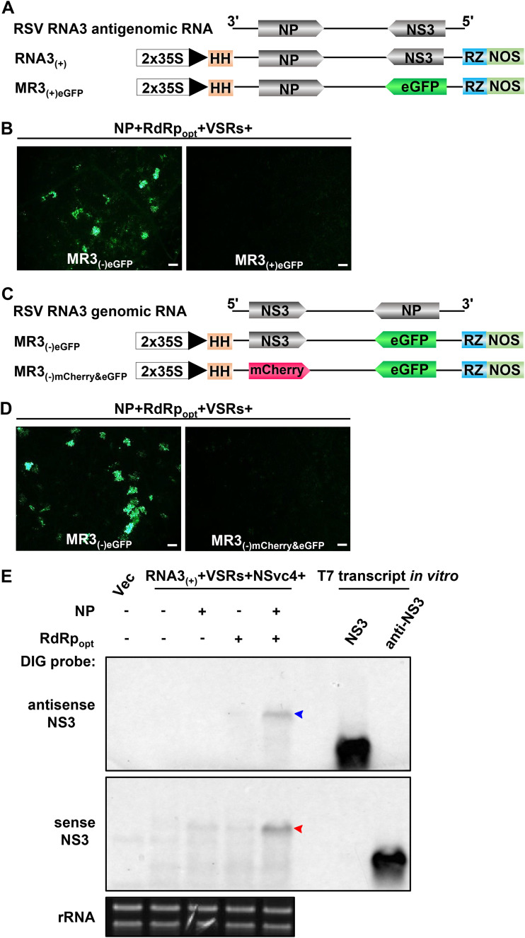 FIG 6