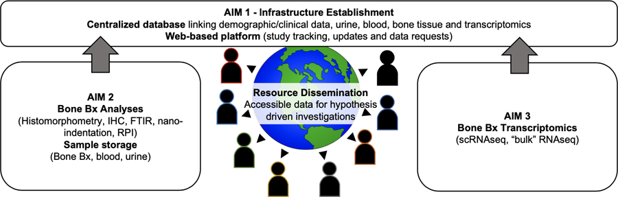 Figure 1: