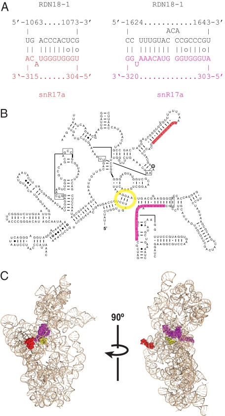 Fig. 3.