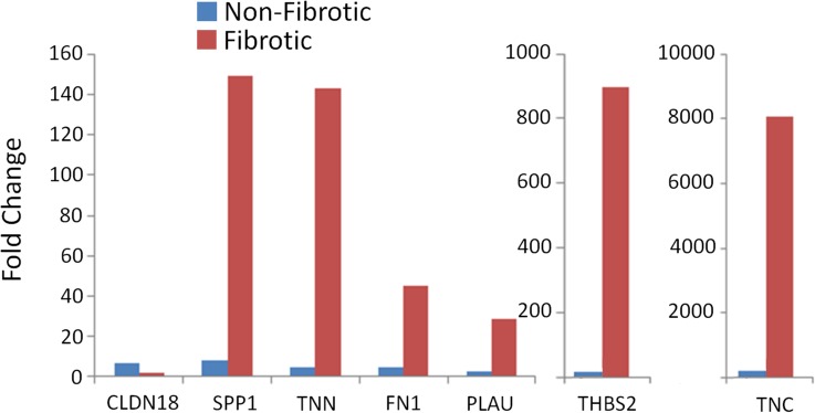 Fig 5