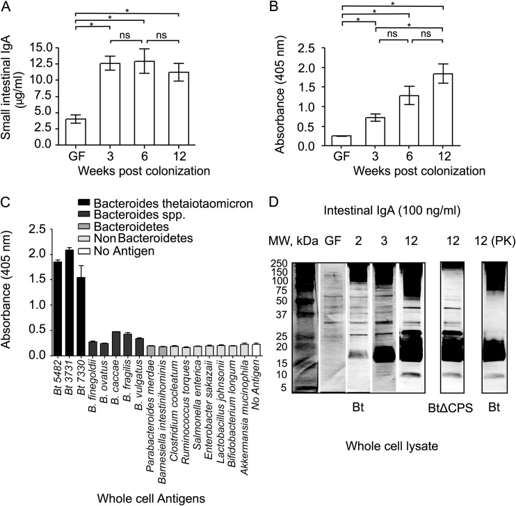 FIG 1