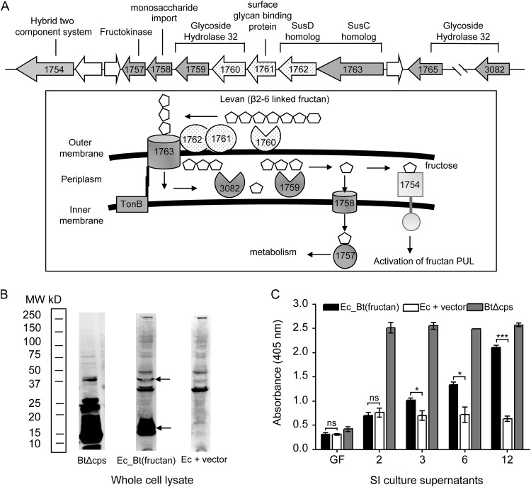 FIG 3