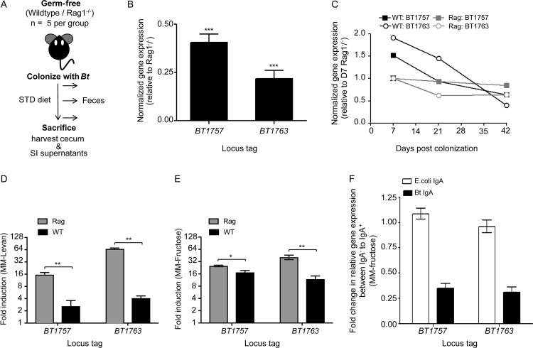 FIG 4