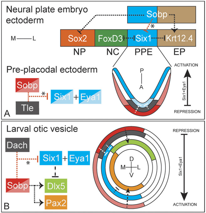 Fig. 7.