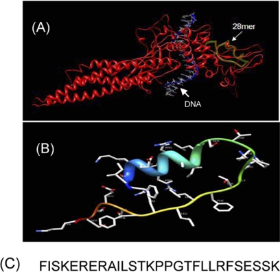 FIGURE 1.