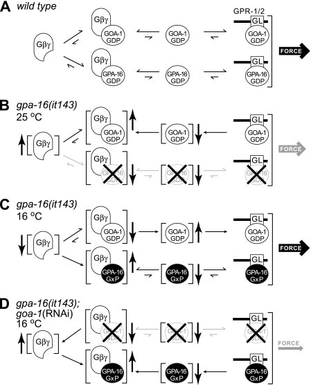 FIGURE 7.