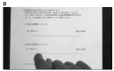 Fig. 1(B)