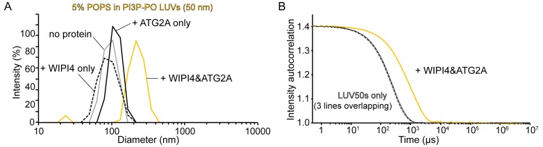 Figure 4—figure supplement 2.