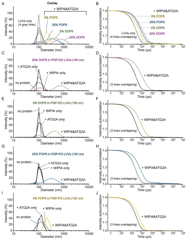 Figure 4—figure supplement 1.