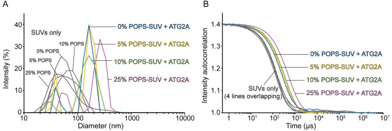 Figure 3—figure supplement 1.