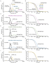 Figure 4—figure supplement 1.