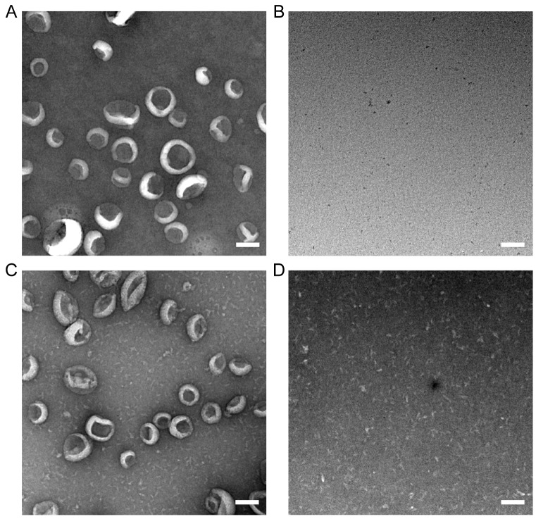 Figure 2—figure supplement 2.