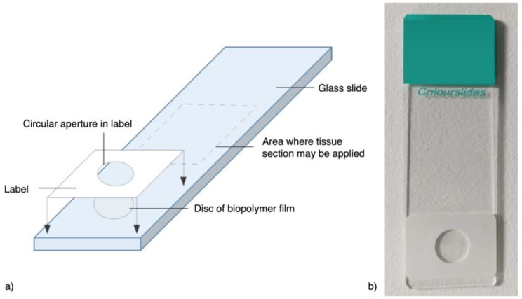 Fig. 1