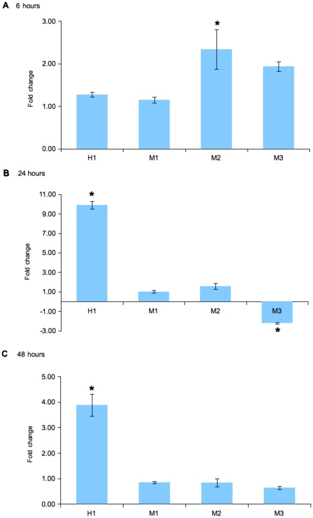 Figure 6