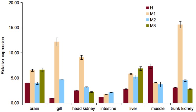 Figure 4