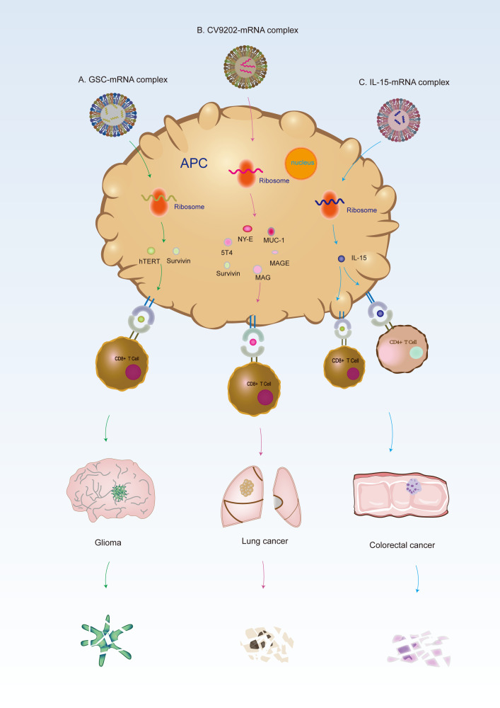 Figure 3