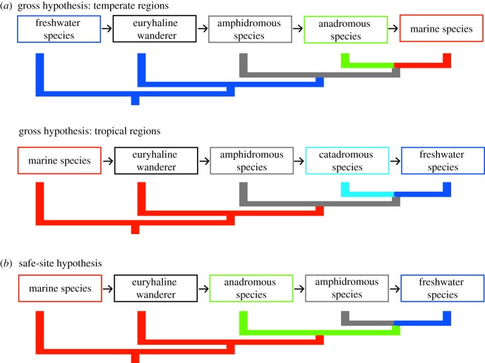 Figure 2.