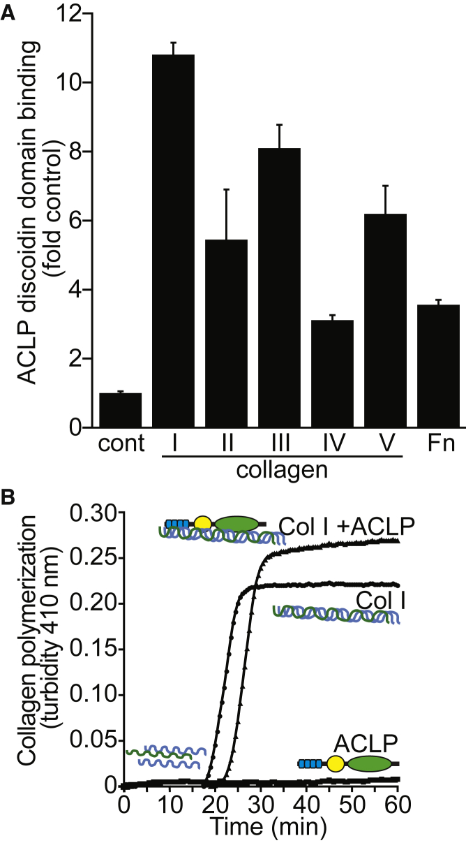 Figure 5