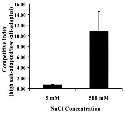 FIG. 6.