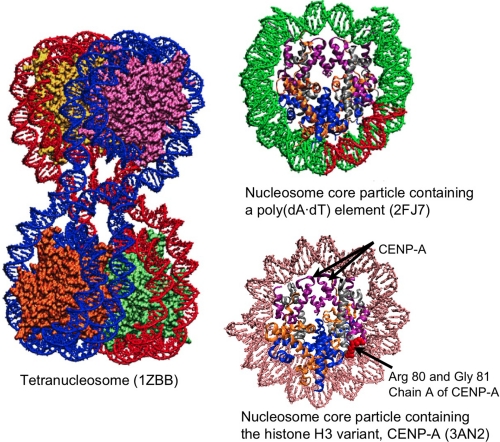 FIGURE 3.