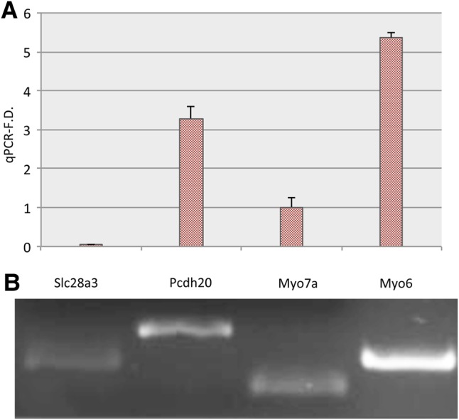 Figure 6.