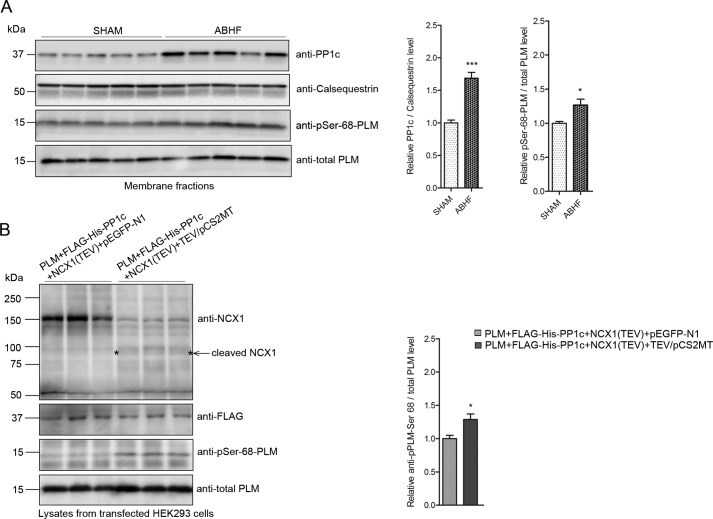 FIGURE 11.