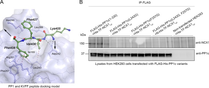 FIGURE 10.