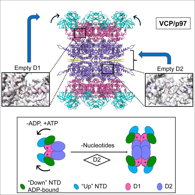 graphic file with name fx1.jpg