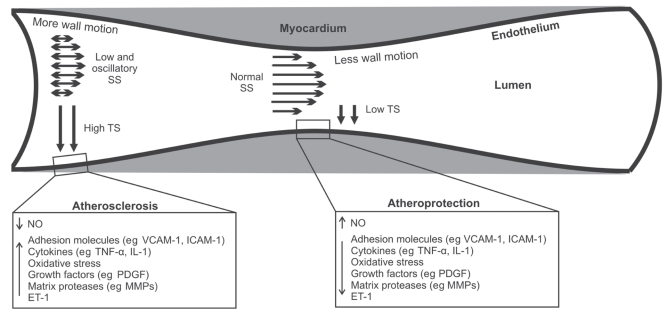 Figure 2)