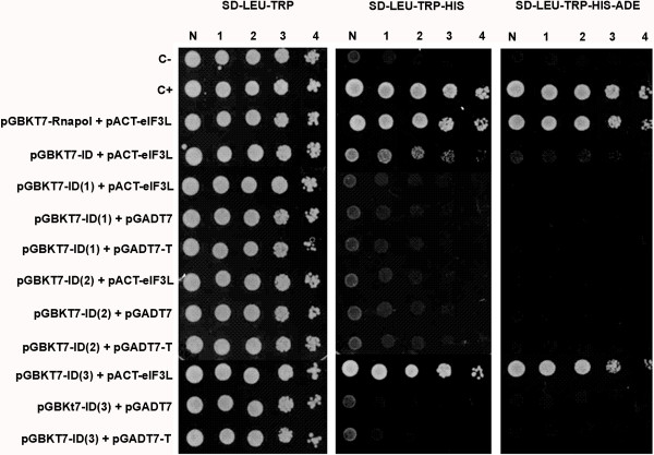 Figure 3