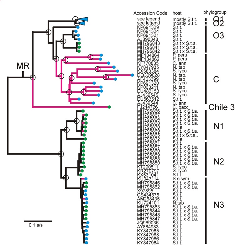 Figure 3.