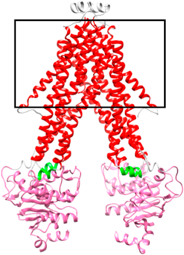 Fig. 1.