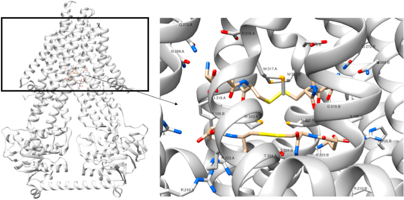 Fig. 7.