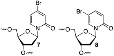 graphic file with name nihms785435u3.jpg