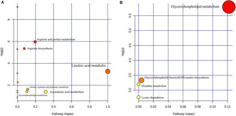 FIGURE 3