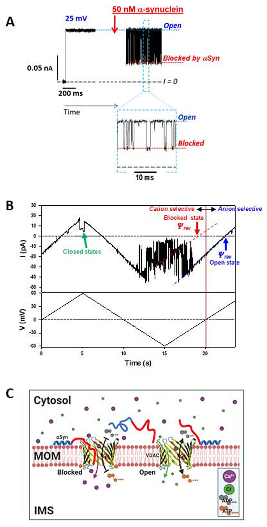 Figure 5.