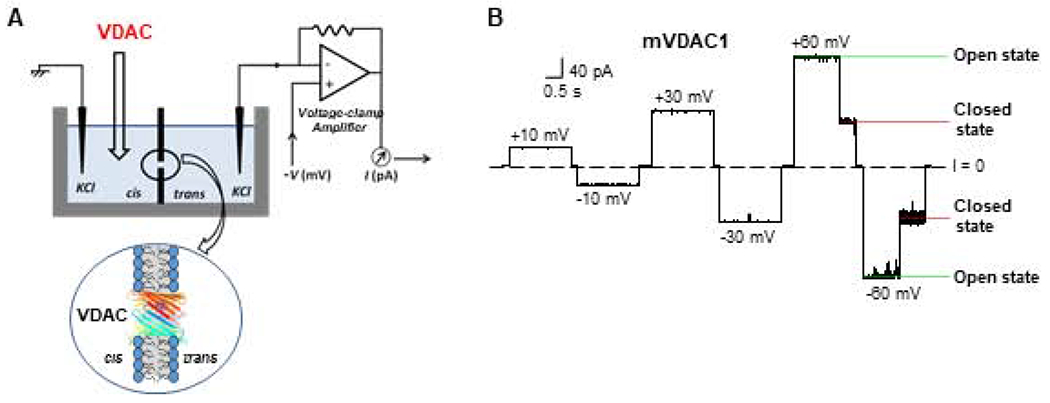 Figure 3.