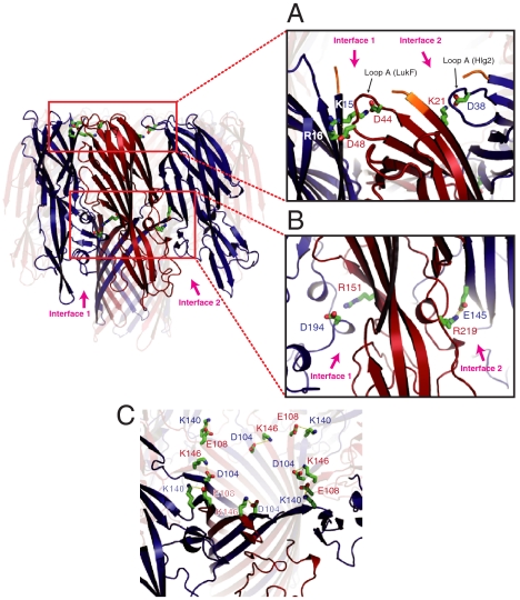 Fig. 2.