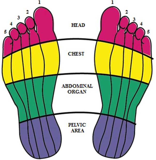 Fig. 9